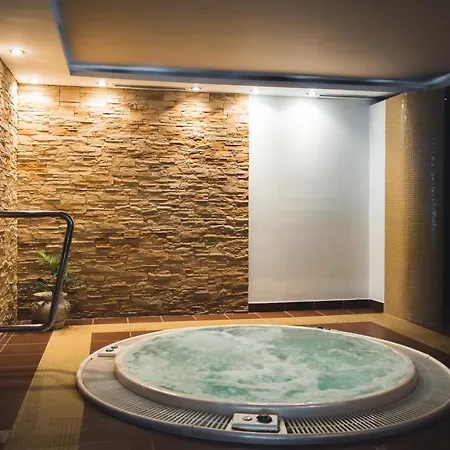 Hotel Lepenski Vir Donji Milanovac